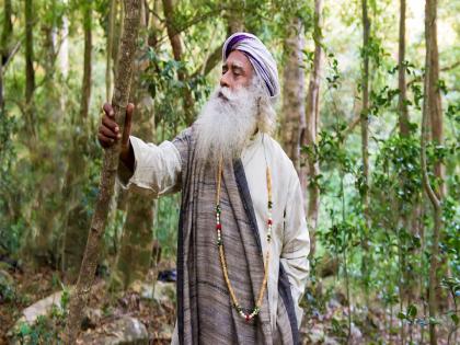 There is no such thing as an environment! Interview of Sadguru Jaggi Vasudev by Vijay Darda | पर्यावरण नावाची अशी कोणती वेगळी वस्तू नाही!