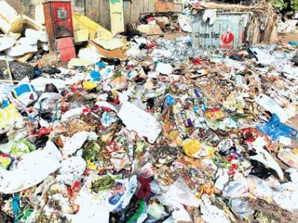 Waste garden | टाकाऊ वस्तूंमधून साकारणार उद्यान