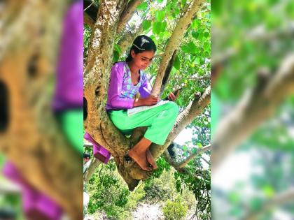 Student exercise due to lack of network in the village; Online education can be done sitting on a tree | गावात नेटवर्क नसल्याने विद्यार्थ्यांची कसरत; झाडावर बसून घेतायेत ऑनलाइन शिक्षण 