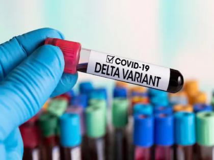 Coronavirus: 128 patients of Corona Delta variant were found in Mumbai; BMC on alert | Coronavirus: मोठी बातमी! मुंबईत कोरोनाच्या डेल्टाचे १२८ अन् कप्पा व्हेरिएंटचे २४ रुग्ण आढळले