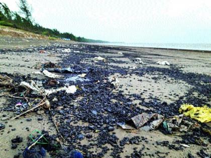 The beach at Dahanu turned black; Oil spills, tar degradation, biodiversity under threat | डहाणूतील समुद्रकिनारा काळवंडला; तेलाचा तवंग, डांबराने विद्रूपीकरण, जैवविविधता धोक्यात