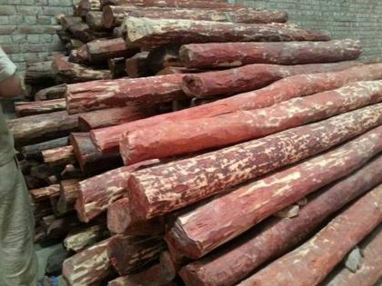 Five hundred kilos of sandalwood were caught in Mahajan Wadi; A case has been registered against ten accused | महाजन वाडीत पाचशे किलो चंदन पकडले; दहा आरोपीविरुद्ध गुन्हा दाखल