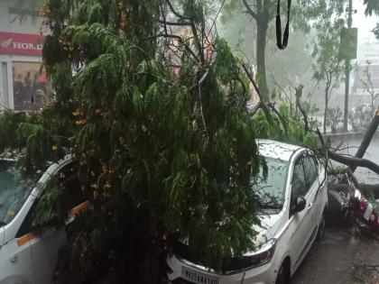 Heavy rain battered Solapur city; Damage to vehicles due to uprooted trees | सोलापूर शहरात पावसाची जोरदार बॅटिंग; झाडे उन्मळून पडल्याने वाहनांचे नुकसान