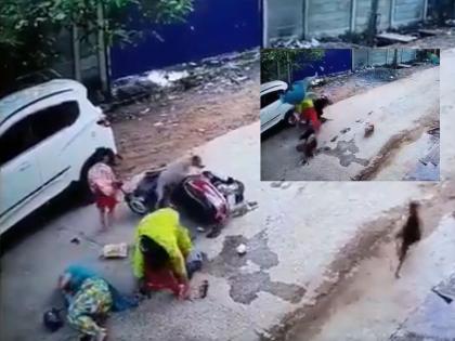 Dogs chase woman, scooter hit the car video goes viral | स्कूटीस्वार महिलेच्या मागे लागले कुत्रे; चाव्यापासून बचावली, पण कारला जाऊन धडकली- पाहा VIDEO