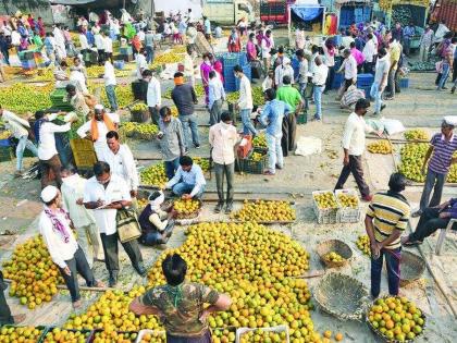 Selling the same garden four times at a high price Commercial goods, farmers get low prices | एकाच बागेची चार वेळा चढ्या भावात विक्री! व्यापारी मालामाल, शेतकऱ्यांना मिळतो अल्प भाव