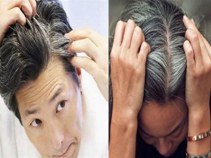 Vitamin b Deficiency causes hair to turn white, include special foods in your daily diet | 'या' व्हिटॅमिनच्या कमतरतेमुळं केस होतात पांढरे, रोजच्या आहारात करा खास फूड्सचा समावेश...!