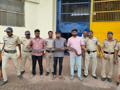 Release of python from Taloja Jail | तळोजा कारागृहातून 'अजगराची' सुटका