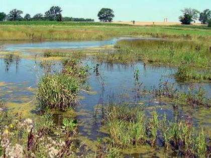 Nine lakes place in Goa notified as wetlands, draft issued; Objections and suggestions were sought from the public within 60 days | गोव्यात नऊ तलावांची जागा पाणथळ अधिसूचित, मसुदा जारी; जनतेकडून ६० दिवसात हरकती, सूचना मागवल्या