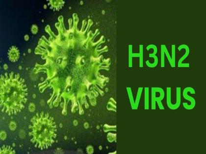 Another 'H3N2' suspected patient dies in Nagpur | नागपुरात आणखी एका ‘एच३ एन२’ संशयित रुग्णाचा मृत्यू