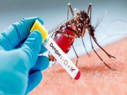 Dengue to treating doctors; Pregnant and child-bearing women in the hospital are also in trouble | उपचार करणाऱ्या डॉक्टरांनाच डेंग्यू; रुग्णालयातील गर्भवती अन् बाळंतीण महिलाही विळख्यात 