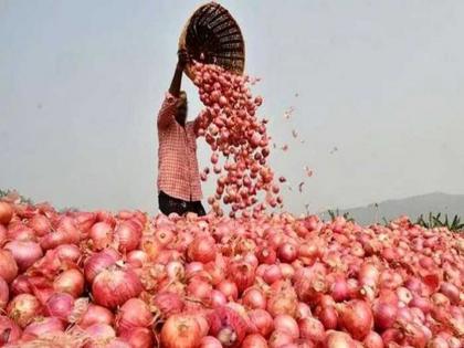 435 crore approved for onion subsidy to Nashik | नाशिकला कांदा अनुदानासाठी ४३५ कोटी मंजूर 