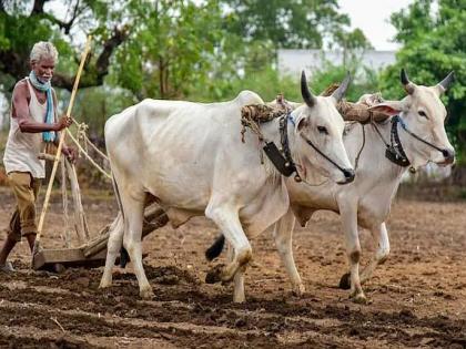 The story of the leaders of Marathwada and Vidarbha | विदर्भ - मराठवाड्यातल्या नेत्यांच्या ढिम्मपणाची कहाणी