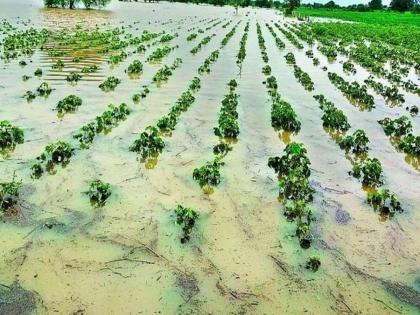 45 thousand hectares affected by heavy rain in 24 circles; Heavy rains seven times, six people died | २४ मंडळातील अतिवृष्टीने ४५ हजार हेक्टरला फटका; सात वेळा अतिवृष्टी, सहा जणांचा मृत्यू 