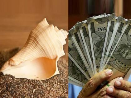 Astrology coin or conch found on the road indicates good lock coming your way | Astrology: नशीब चमकवतात रस्‍त्यात सापडलेल्या 'या' खास गोष्टी! फक्त करावं लागेल एवढं एक काम