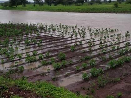 Disruption of heavy rains! Damage in all districts except Latur and Osmanabad in Marathwada | अतिवृष्टीचे विघ्न! मराठवाड्यात लातूर, उस्मानाबाद वगळता सर्व जिल्ह्यांत नुकसान