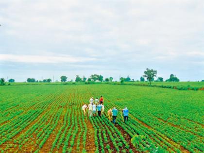 relief to farmers Three days extension for taking crop insurance | शेतकऱ्यांना दिलासा; पीक विमा काढण्यासाठी तीन दिवसांची मुदतवाढ