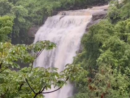 tourism stopped on Ashoka waterfall due to Restrictions | 'अशोका'वरील निर्बंधामुळे पर्यटनावर फेरले पाणी