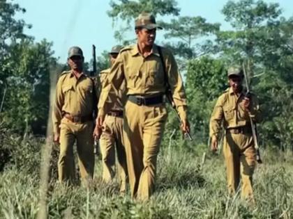 Seniors promoted in forest department within 5 years 15 years waiting for Forest Guards, Selection list of Assistant Forest Guards prepared | वन विभागात वरिष्ठांना ५ वर्षांतच बढती? वनरक्षकांना १५ वर्षांची प्रतीक्षा, सहायक वनसंरक्षकांची निवड सूची तयार