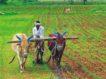 GDP of India only agriculture sector recorded positive growth in june quarter | यावर्षी फक्त शेतकऱ्यांच्याच भरवशावर देशाची अर्थव्यवस्था, GDPमध्ये 40 वर्षांतील सर्वात मोठी घसरण