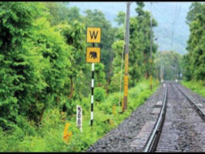 More than 32,000 wildlife killed in train dash | रेल्वेच्या धडकेत ३२ हजारांहून अधिक वन्यप्राण्यांचा बळी, तीन वर्षांतील आकडेवारी