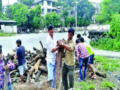  Vaikikar was forced to arrange wood for the cremation of staff, because of the funeral procession | वसईकरांवर सरणावर लाकडे रचण्याची पाळी, कर्मचाºयांअभावी अंत्यविधीसाठी होते परवड