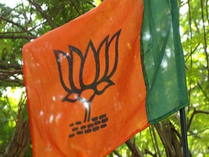 BJP has majority in 11 places in Kalyan taluka, | कल्याण तालुक्यात ११ ठिकाणी भाजप बहुमतात, महाविकास आघाडीची ९ ठिकाणी बाजी