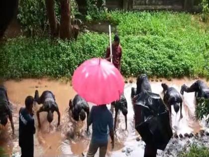 All-party protests against NCC cadet beating; Joshi-Bedekar College has a cantonment structure | एनसीसी कॅडेट मारहाणीच्या निषेधार्थ सर्वपक्षीयांची आंदोलने; जोशी-बेडेकर महाविद्यालयाला छावणीचे स्वरूप 