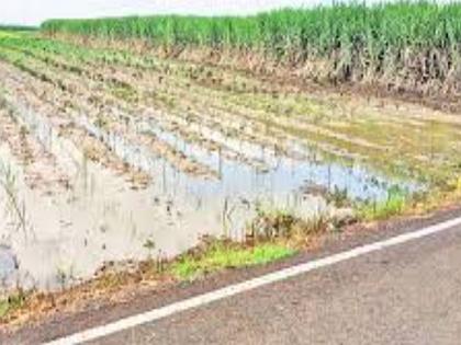 Look at the village my friend! | गावाकडं बघ माझ्या दोस्ता!