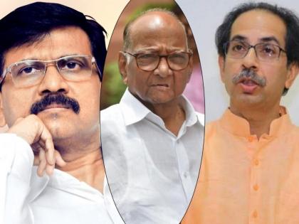 Sanjay Raut showed the mirror to the Chief Minister says bjp leader Avadhut Wagh | “बाळासाहेब होते तेव्हा ...; असं बोलून संजय राऊतांनी मुख्यमंत्र्यांनाच आरसा दाखवला”