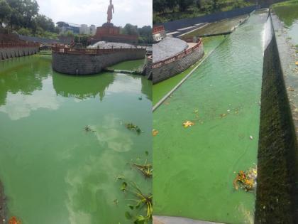 Shockingly, Ambazari lake water turned green, fish died | धक्कादायक, अंबाझरी तलावाचे पाणी झाले हिरवे; माशांचा मृत्यू