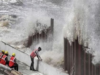 Biparjoy cyclone in Gujarat Dumb animals die 22 injured Hundreds of villages lost electricity | Biparjoy Cyclone: गुजरातमध्ये बिपरजॉयचं थैमान; मुक्या प्राण्यांचा मृत्यू, 22 जण जखमी...; शेकडो गावांची 'बत्ती गुल' 