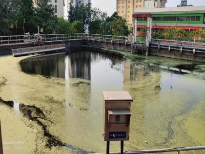 Ghansoli's closed sewage plant increased pollution in Thane creek Complaint of NatConnect Foundation to Chief Minister | घणसोलीच्या बंद मलनिःस्सारण केंद्रामुळे  ठाणे खाडीत प्रदूषण वाढले; नॅटकनेक्ट फाउंडेशनची मुख्यमंत्र्यांकडे तक्रार