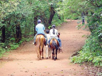 Horse Owners' Mistakes and Carelessness of tourists is dangerous, need to change 64 years old rules in Matheran | घोडे मालकांच्या चुका जीवावर; पर्यटकांची बेफिकिरीही घातक, माथेरानमधील ६४ वर्षे जुने नियम बदलण्याची गरज