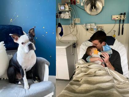 America child stoped breating dog saved her in charismatic way | अचानक थांबला होता चिमुरडीचा श्वासोच्छ्वास, पण पाळलेल्या डॉगीनं केला चमत्कार अन्...