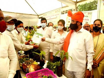 Vegetable Festival with the participation of 50 self help groups at the Collectorate premises on Independence Day | स्वातंत्र दिनी जिल्हाधिकारी कार्यालय प्रांगणात, ५० बचत गटांच्या सहभागातून रानभाज्या महोत्सव