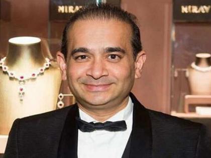 pnb scam ED says Nirav Modi sister Purvi Modi remitted approx 17. 25 crore to indian government  | PNB SCAM: मोठी बातमी! नीरव मोदीच्या बहिणीनं इंग्लंडमधील बँक खात्यातून भारत सरकारला पाठवले 17.25 कोटी रुपये