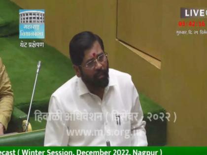 expert committee for balanced regional development of state along with announcements there is also determination of implementation | राज्याच्या समतोल प्रादेशिक विकासासाठी तज्ज्ञ समिती; घोषणांसोबतच अंमलबजावणीचाही निर्धार