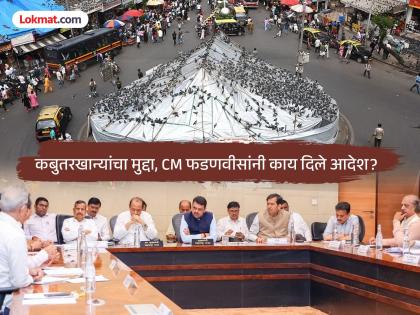 The way for pigeons to get food is open; CM Fadnavis' important decision regarding pigeon houses | कबुतरांना खाद्य मिळण्याचा मार्ग मोकळा; कबुतरखान्यांबद्दल CM फडणवीसांचा महत्त्वाचा निर्णय The way for pigeons to get food is open; CM Fadnavis' important decision regarding pigeon houses | कबुतरांना खाद्य मिळण्याचा मार्ग मोकळा; कबुतरखान्यांबद्दल CM फडणवीसांचा महत्त्वाचा निर्णय