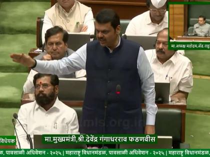 Maharashtra Jansurksha Bill introduced by Chief Minister Devendra Fadnavis passed unanimously in the Legislative Assembly | जनसुरक्षा विधेयक एकमताने मंजूर; नक्षलवादी संघटनांच्या कारवायांना चाप लावण्यासाठी मोठा निर्णय Maharashtra Jansurksha Bill introduced by Chief Minister Devendra Fadnavis passed unanimously in the Legislative Assembly | जनसुरक्षा विधेयक एकमताने मंजूर; नक्षलवादी संघटनांच्या कारवायांना चाप लावण्यासाठी मोठा निर्णय