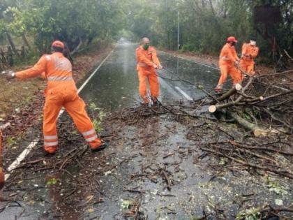 299 roads closed during the storm were reopened | वादळात बंद पडलेले २९९ रस्ते झाले खुले