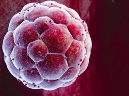 Permission to change the gene | जनुकांमध्ये बदल करण्यास परवानगी Permission to change the gene | जनुकांमध्ये बदल करण्यास परवानगी