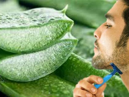 Beauty: Be aware of the benefits of aloe vera before shaving! | Beauty : ​दाढी करण्यापूर्वी कोरफड लावल्यास होणारे फायदे जाणून व्हाल थक्क !