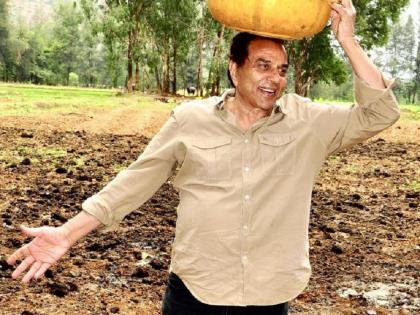 बॉलिवूडपासून दूर शेतात घाम गाळताहेत ८२ वर्षांचे धर्मेन्द्र! पाहा, व्हिडिओ!!
