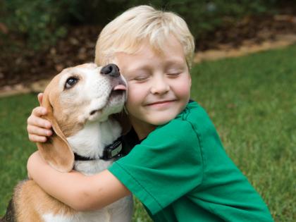 'Let your heart beat' with your dog! | आपल्या डॉगीसोबत ‘दिल धडकने दो’! 'Let your heart beat' with your dog! | आपल्या डॉगीसोबत ‘दिल धडकने दो’!