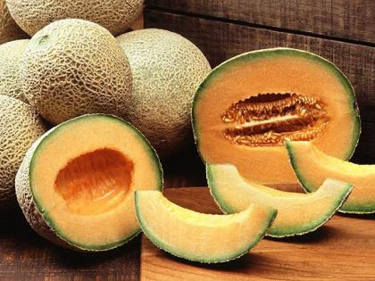 Healthy melon in the summer | उन्हाळ्यात आरोग्यदायी खरबूज Healthy melon in the summer | उन्हाळ्यात आरोग्यदायी खरबूज