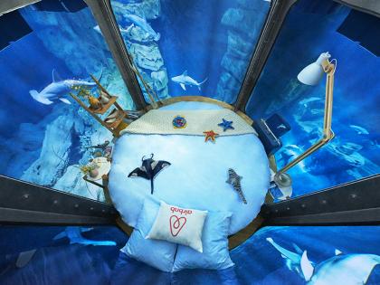 Night Out With Shark