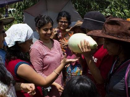 Satara Kulkarni and Rahul Kulkarni created such a 'farm of joy' | संपदा कुलकर्णी आणि राहुल कुलकर्णी यांनी असे निर्माण केले 'आनंदाचे शेत'