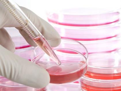 Stem Cell Therapy in Heart Disease | हृदयरोगावर स्टेम सेल थेरपी Stem Cell Therapy in Heart Disease | हृदयरोगावर स्टेम सेल थेरपी