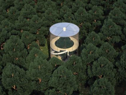 Tree house