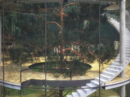 Tree house